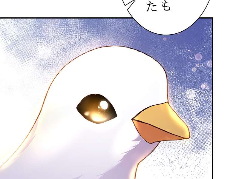 P86