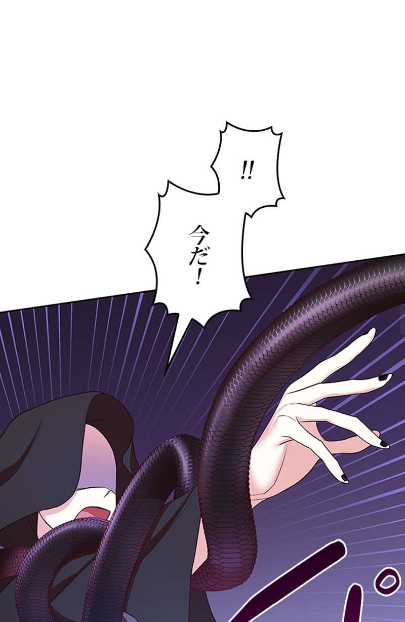 P63