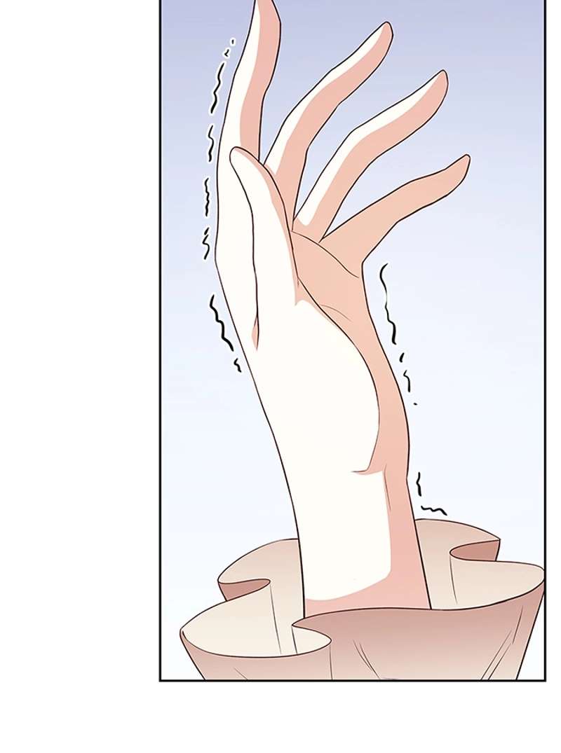 P81