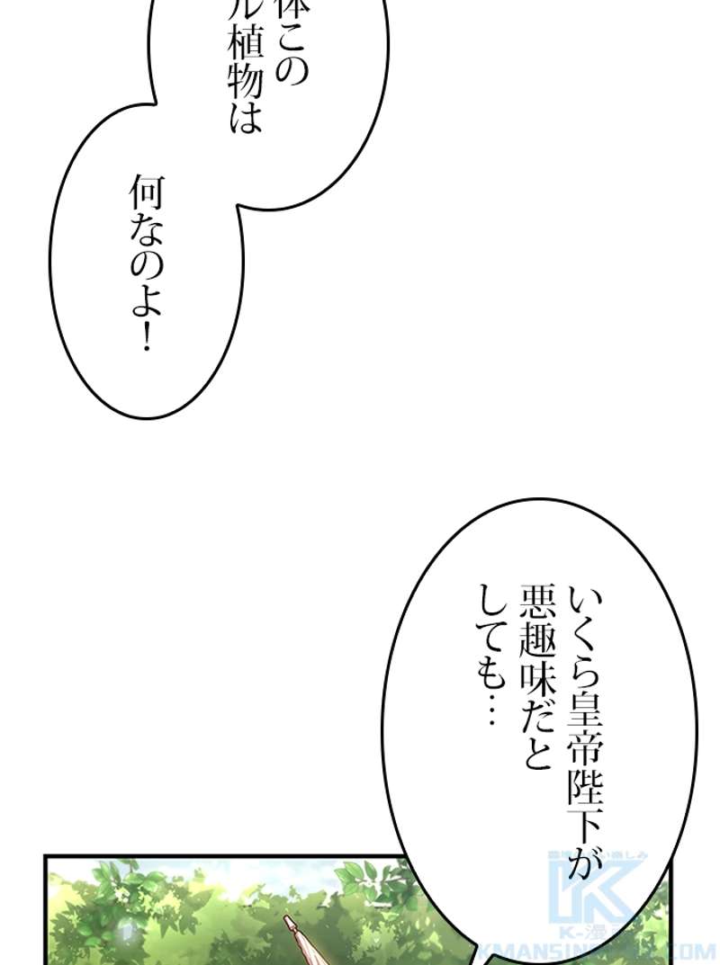 P53