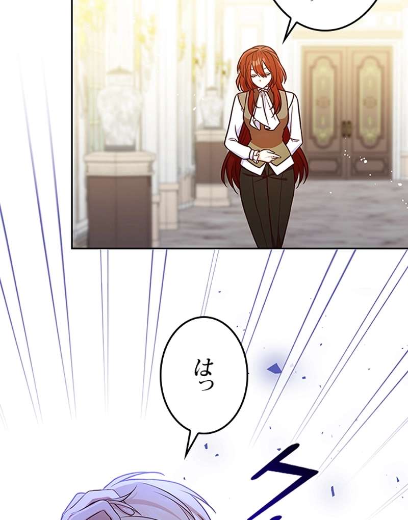 P53