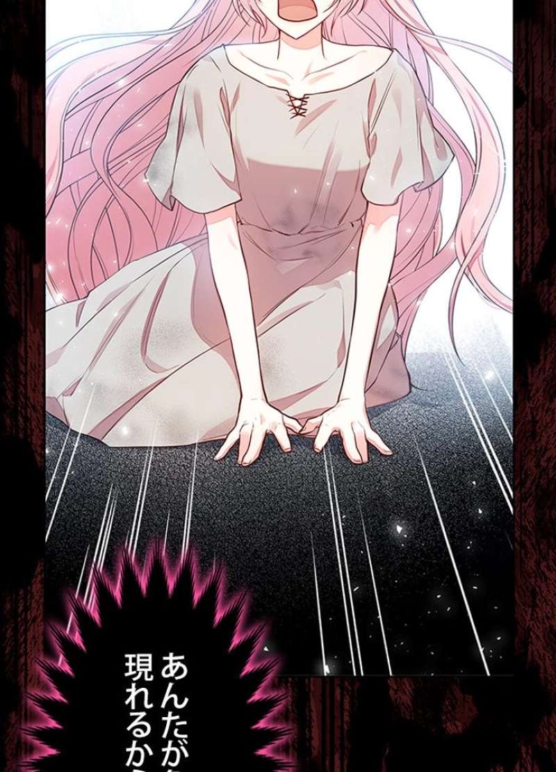 P66