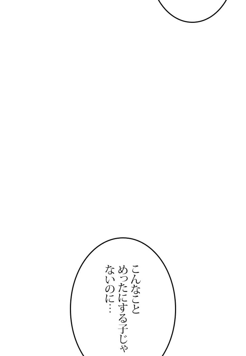 P113