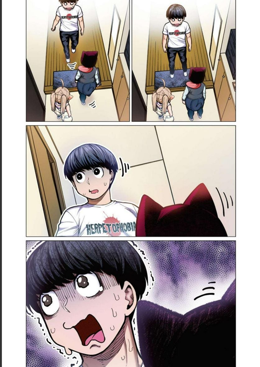 P53