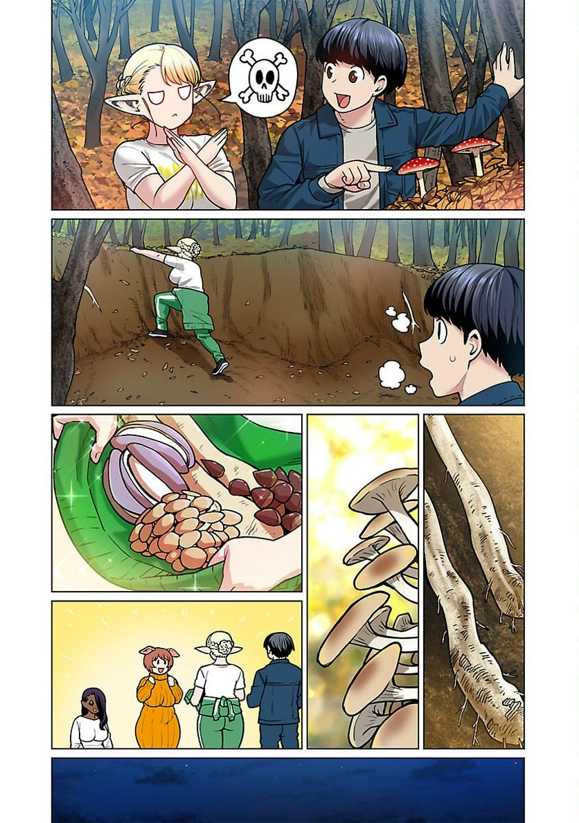 P26