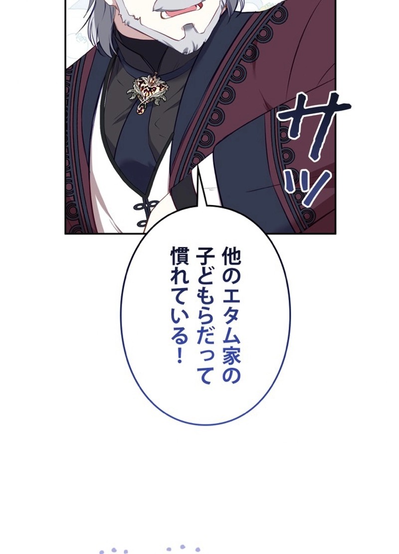 P41