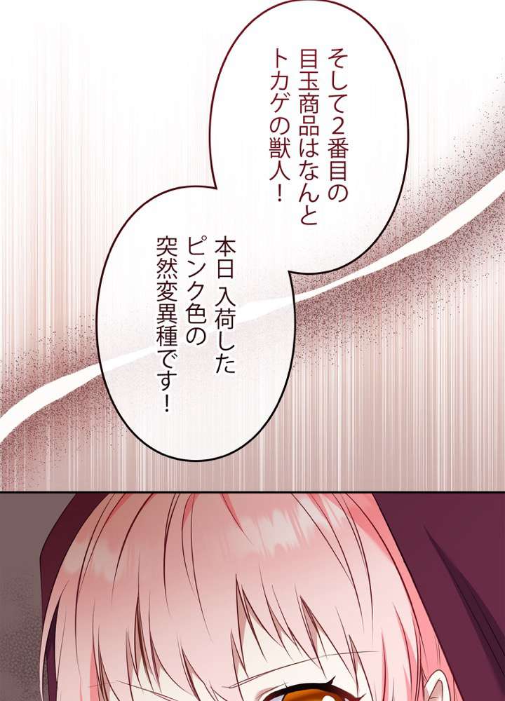 P63