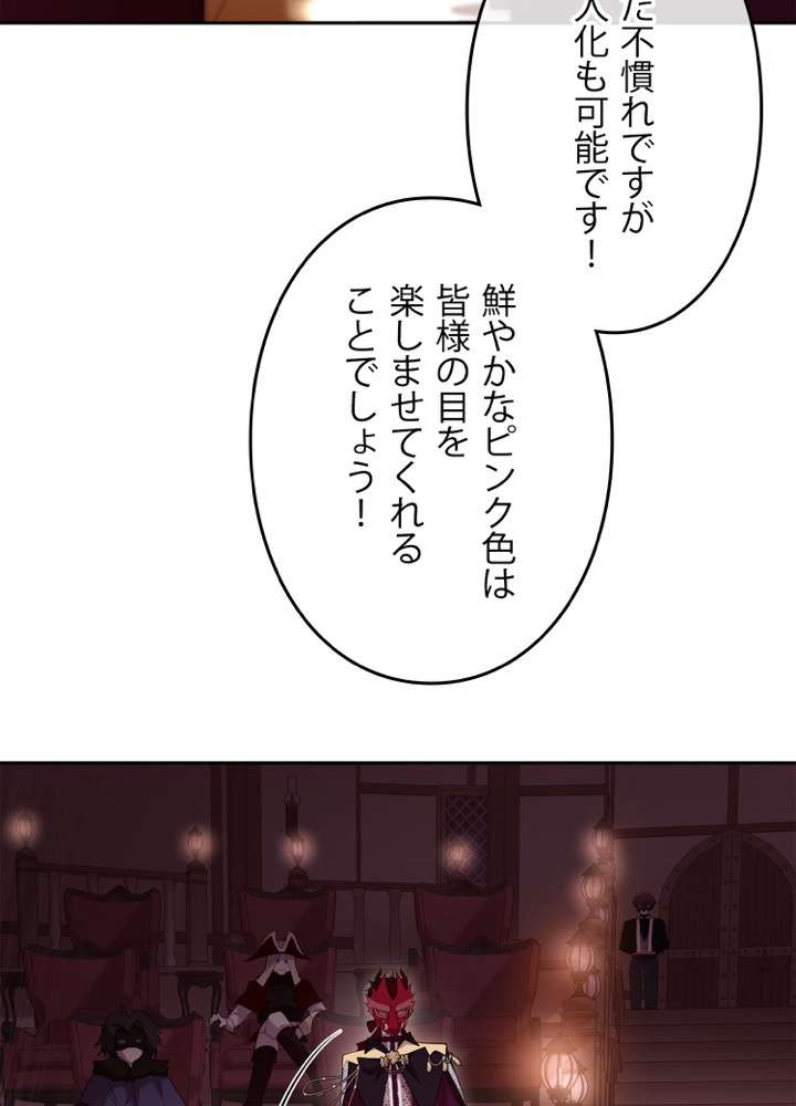 P66