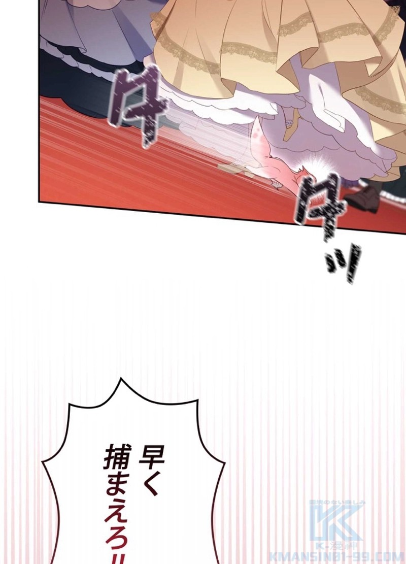 P91