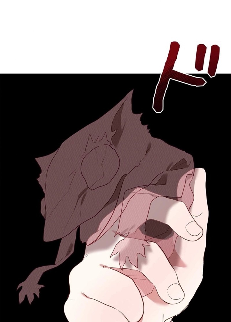 P63