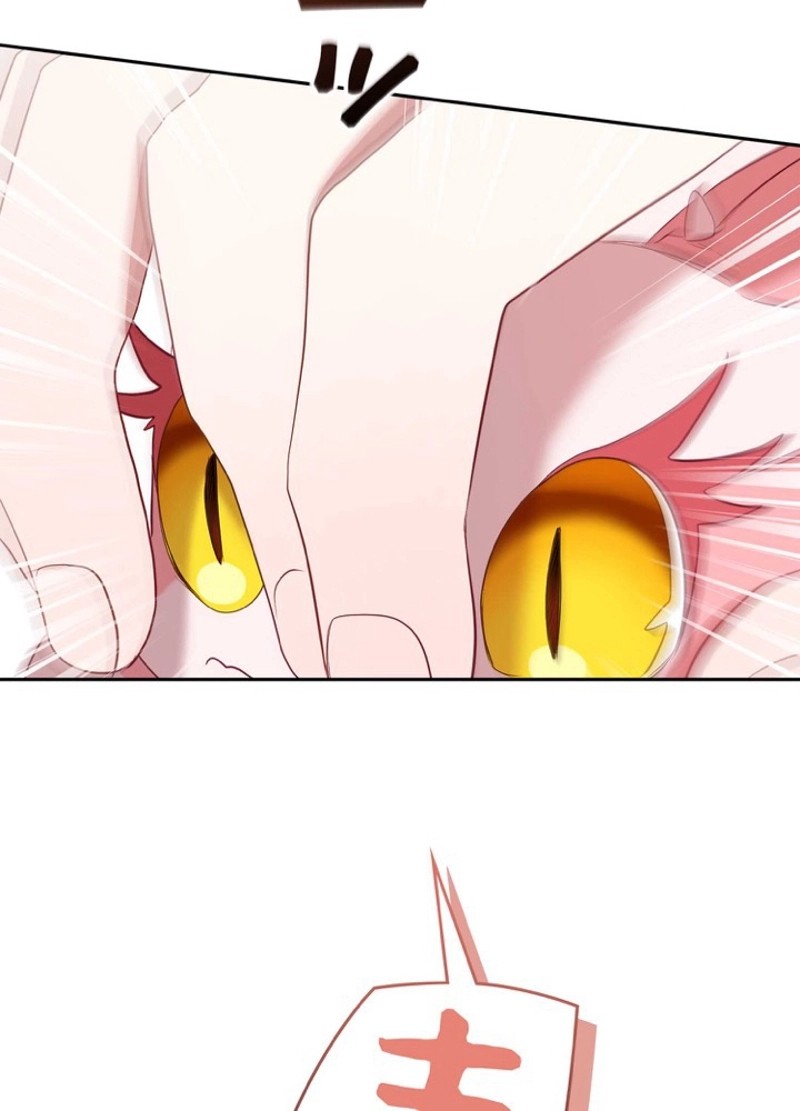 P123