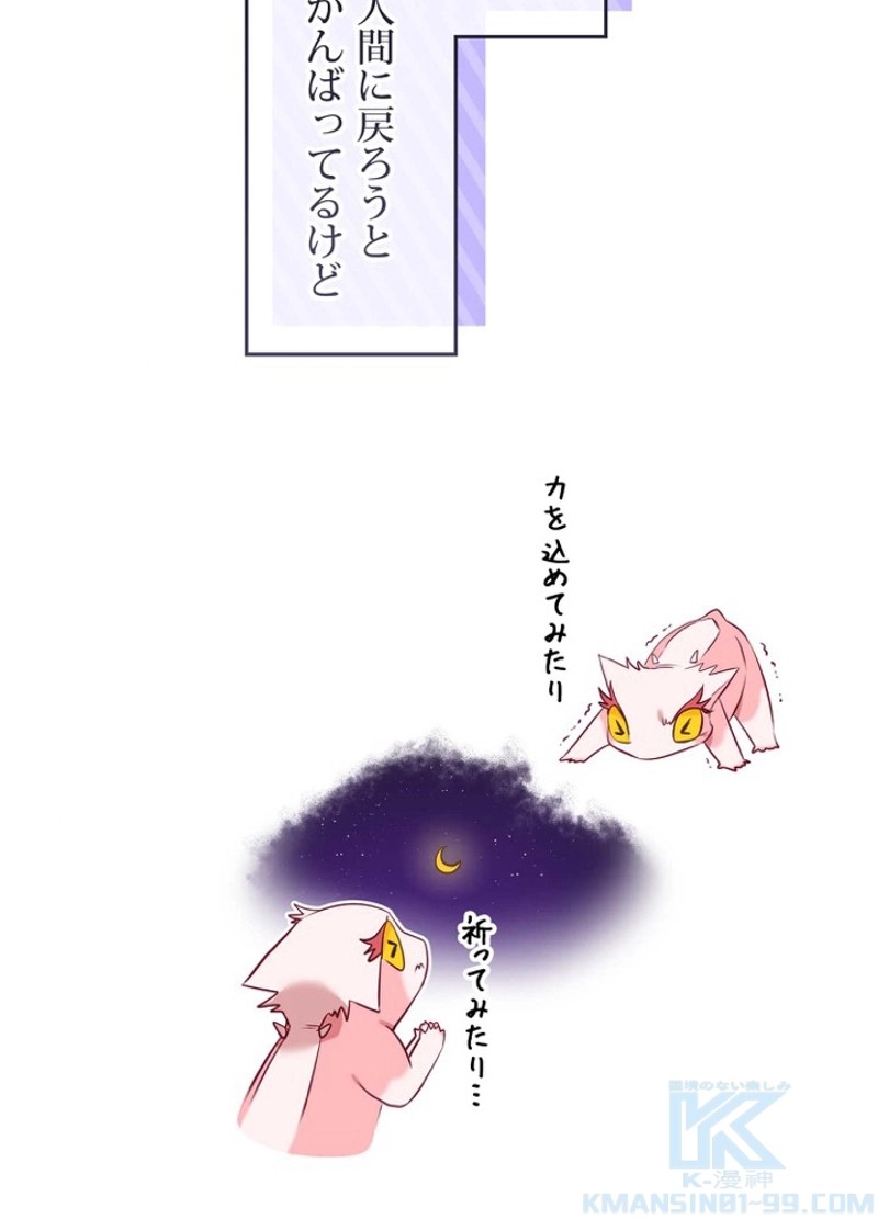 P91