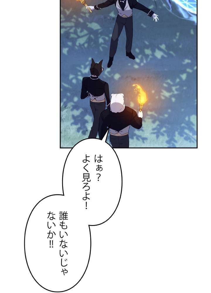 P66