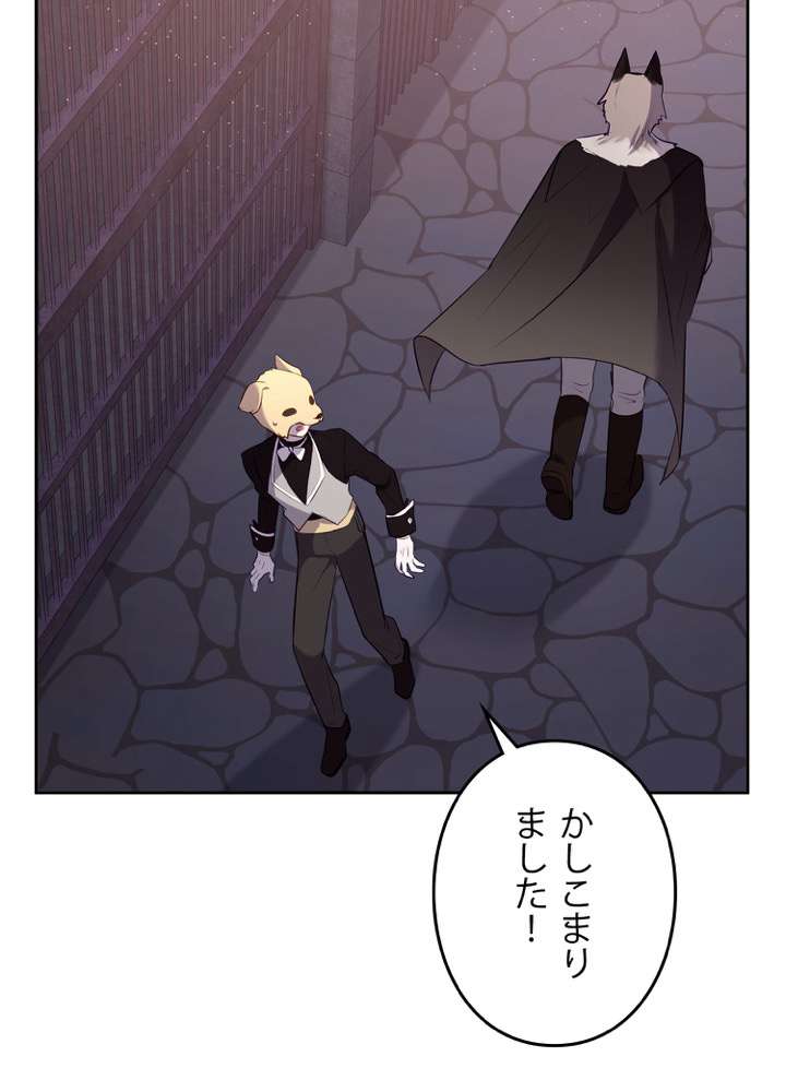 P66