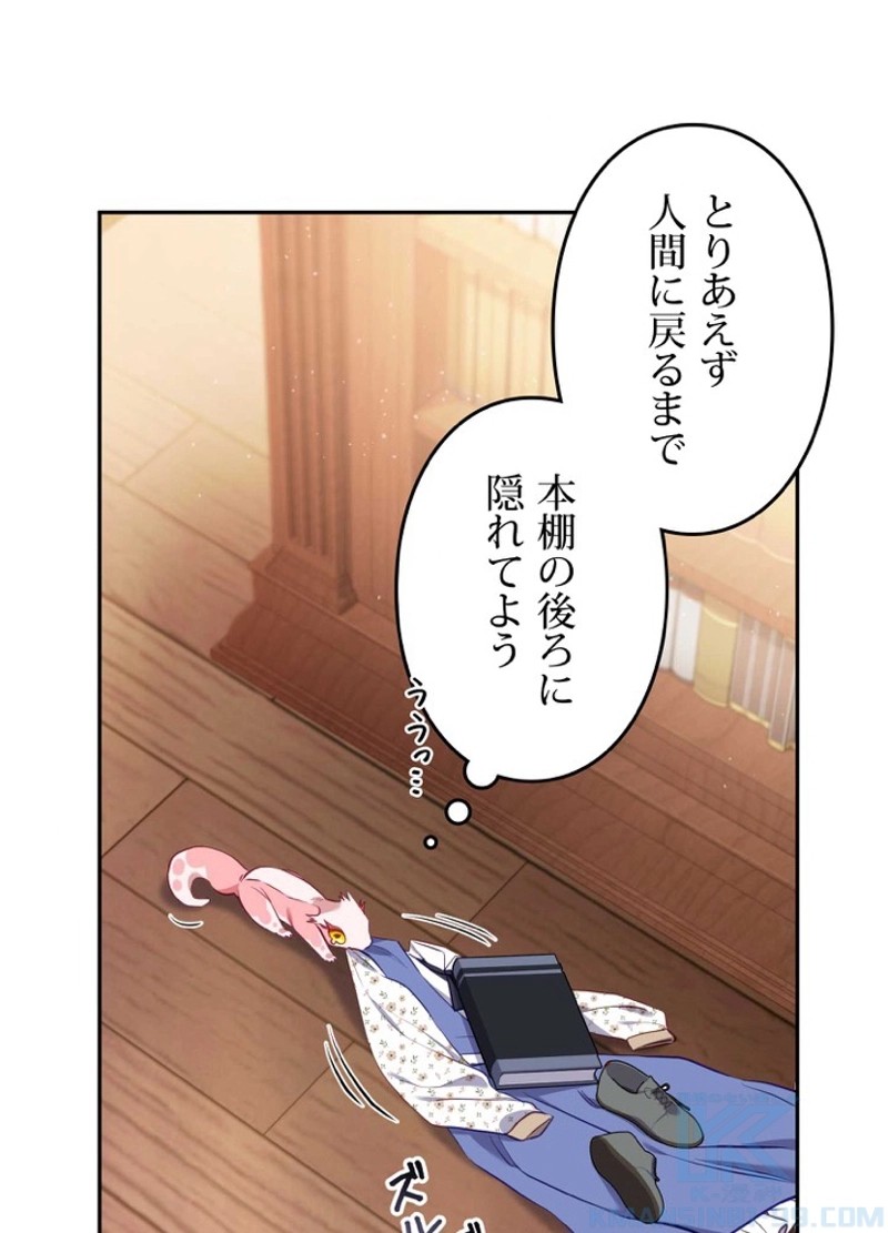 P196