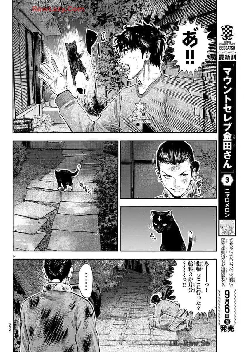 P14