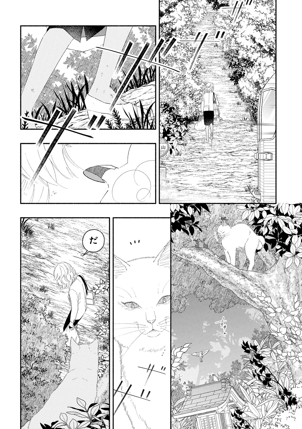 P64