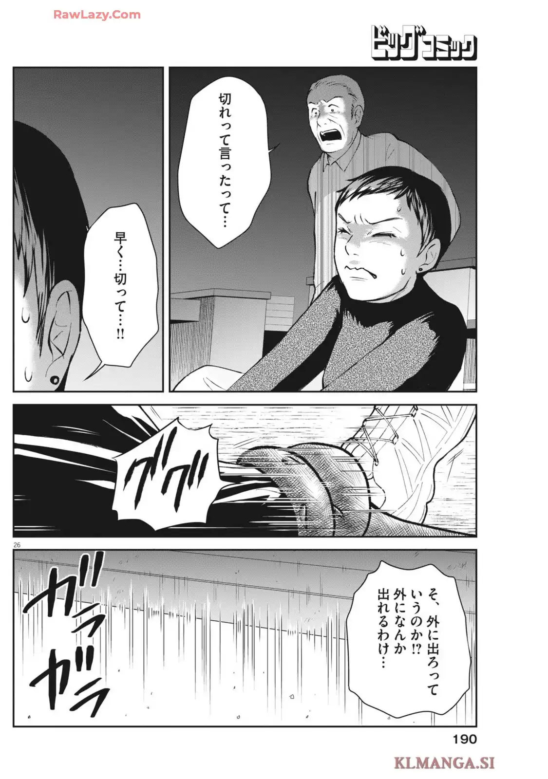 P26