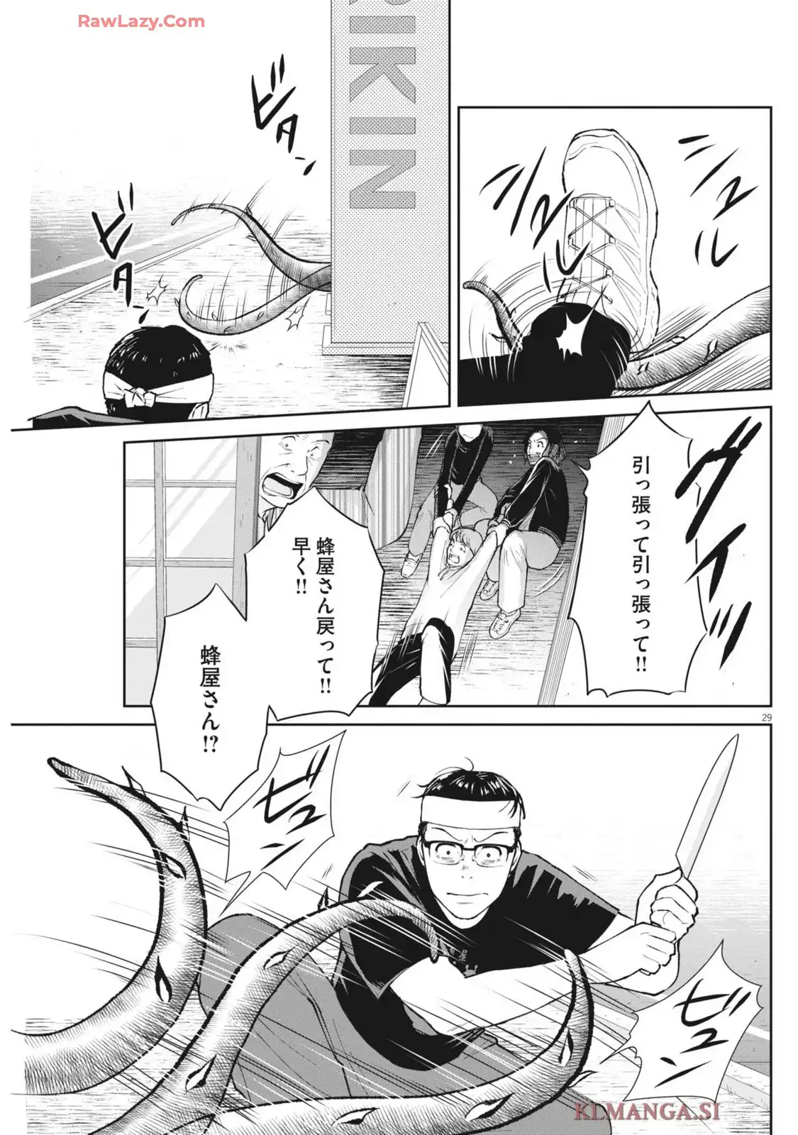 P29