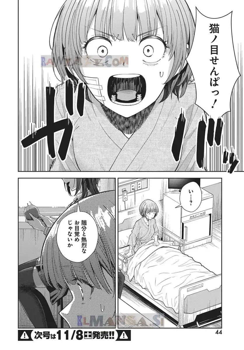 P41