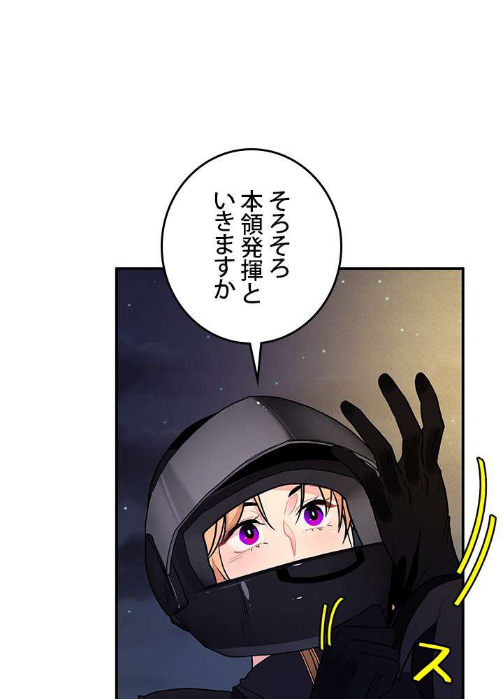 P53