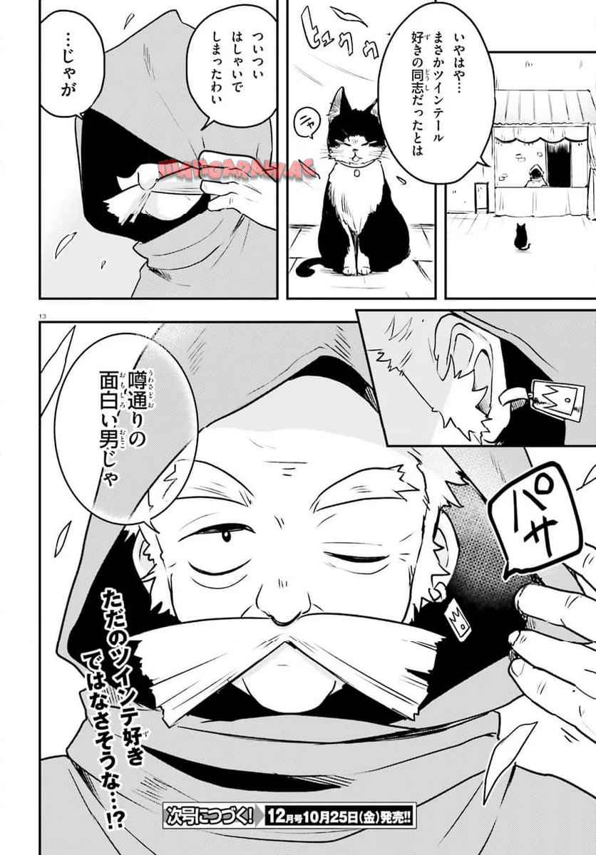 P13