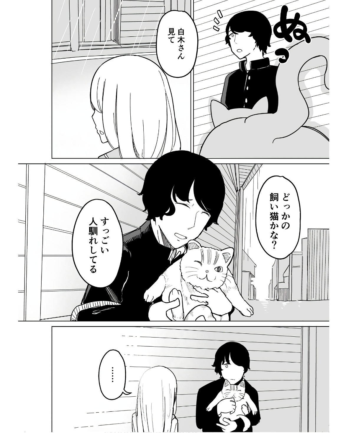 P53