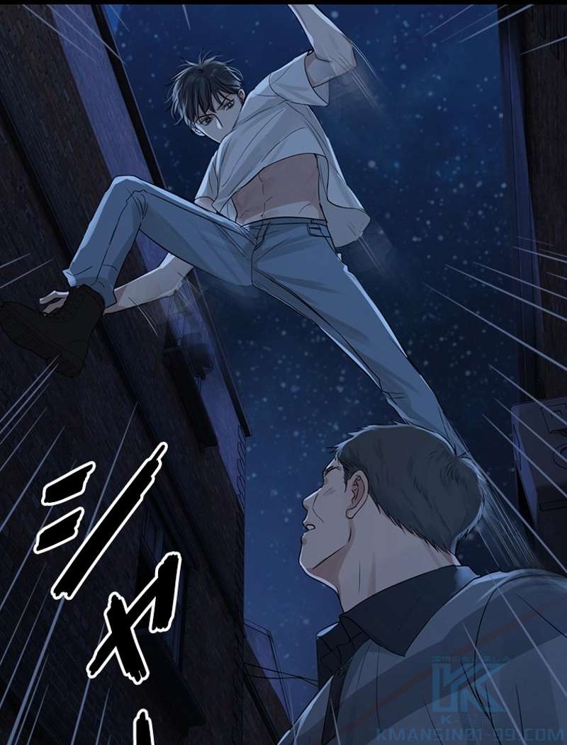 P61