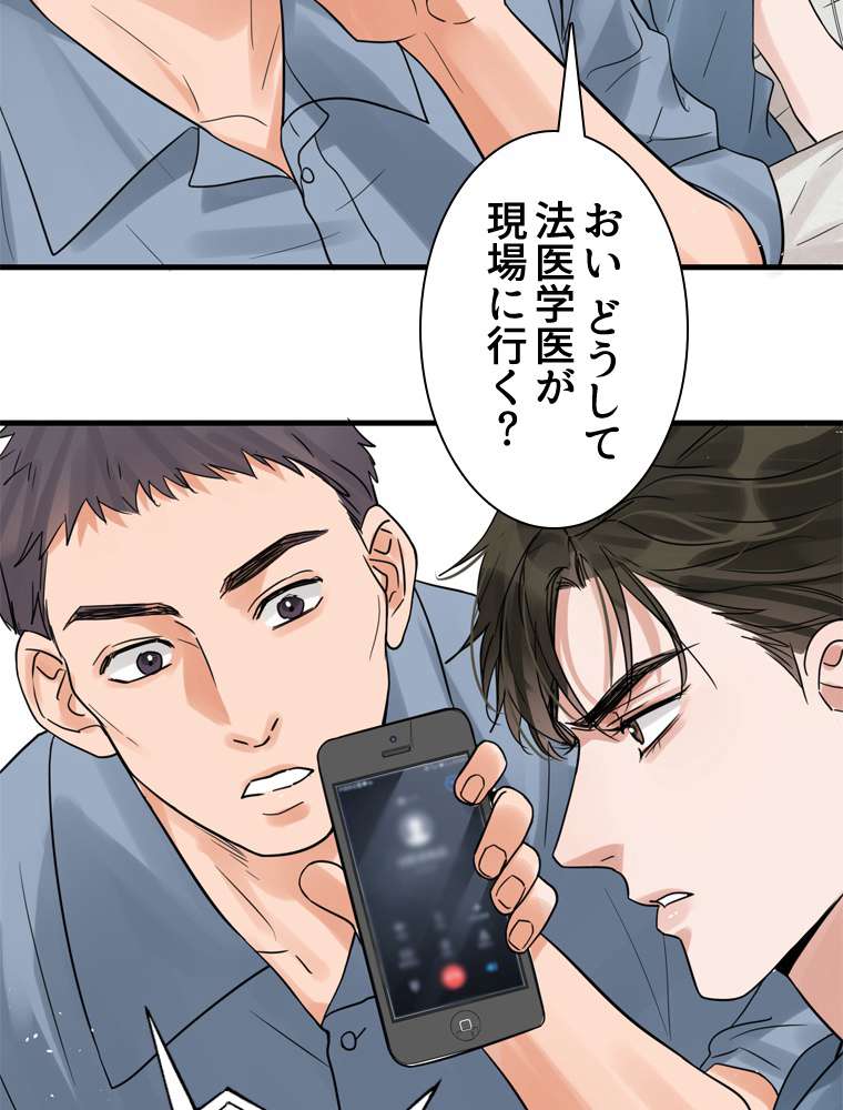 P63