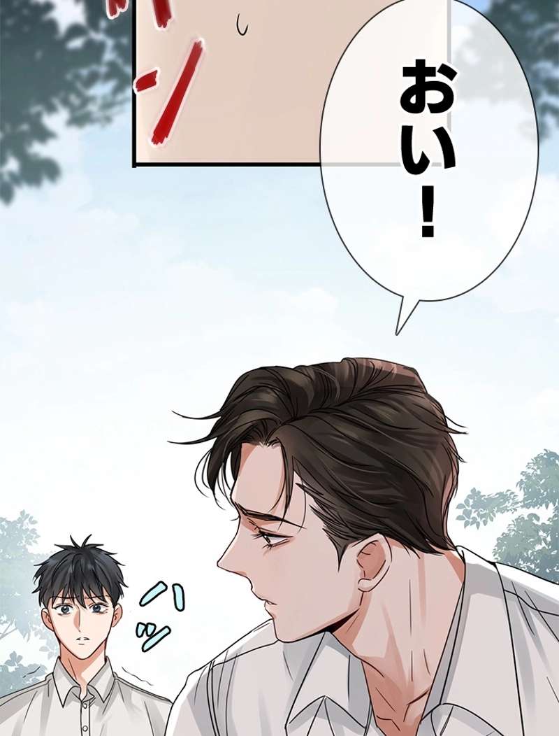 P53