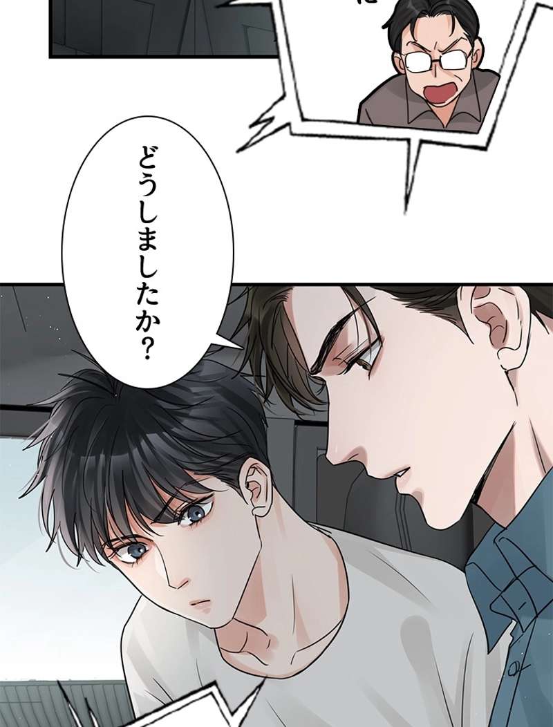 P53