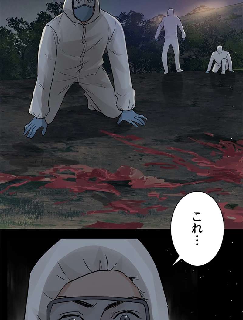 P54