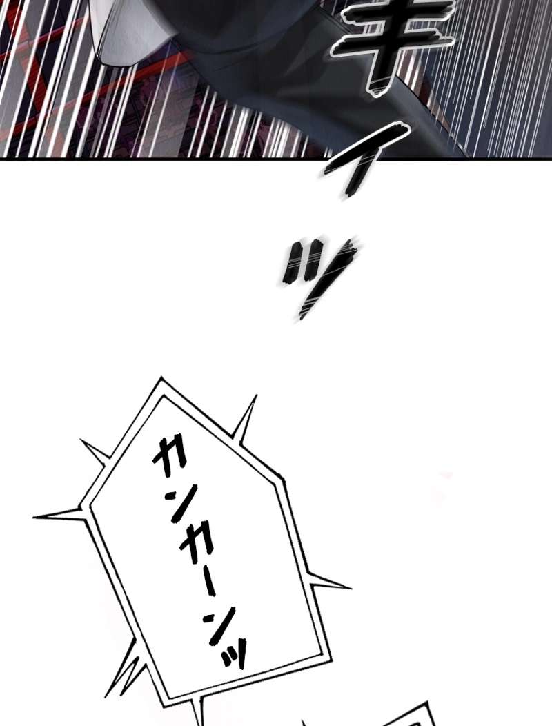 P48
