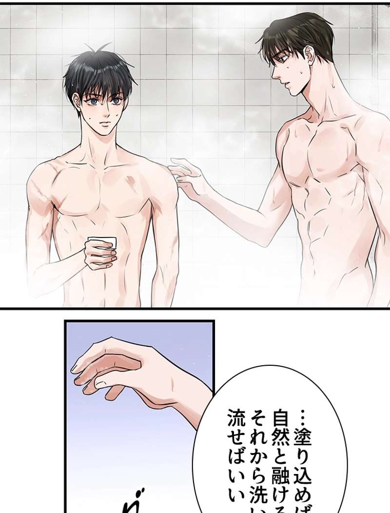 P41