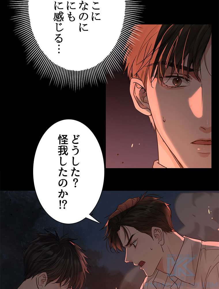 P61
