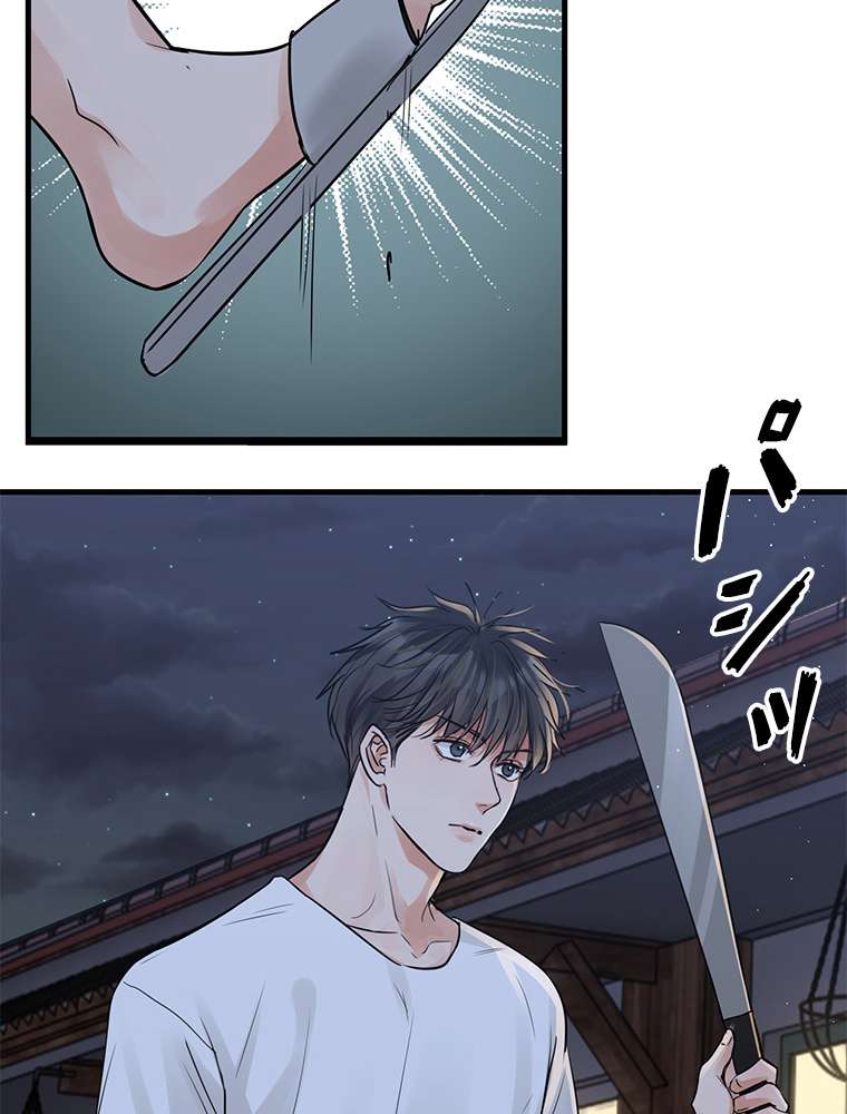P66
