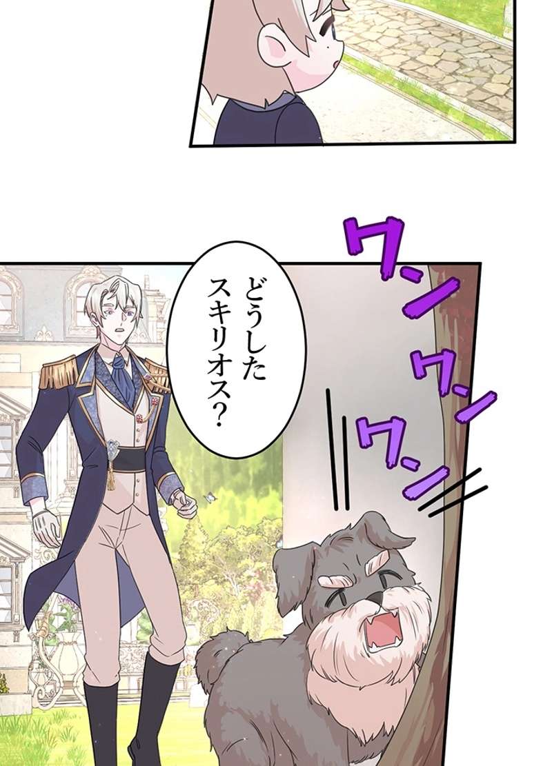 P48