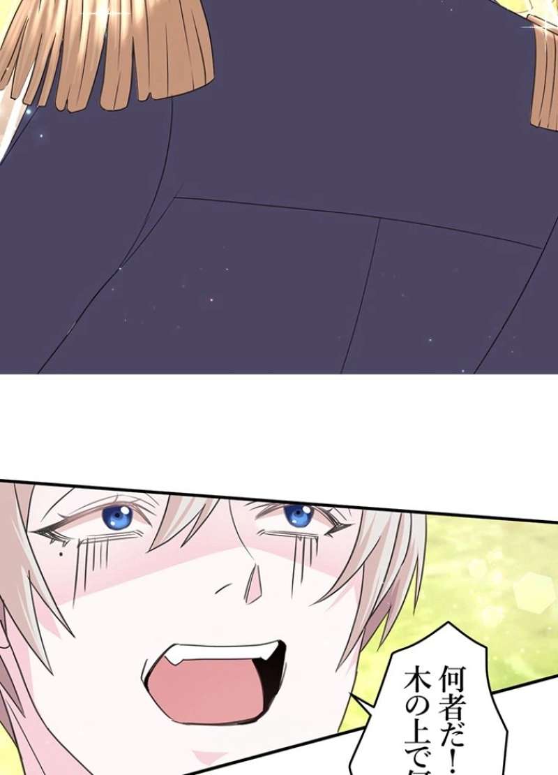P53