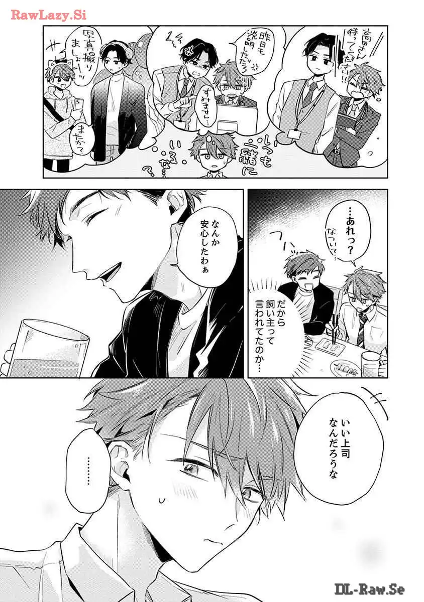 P61