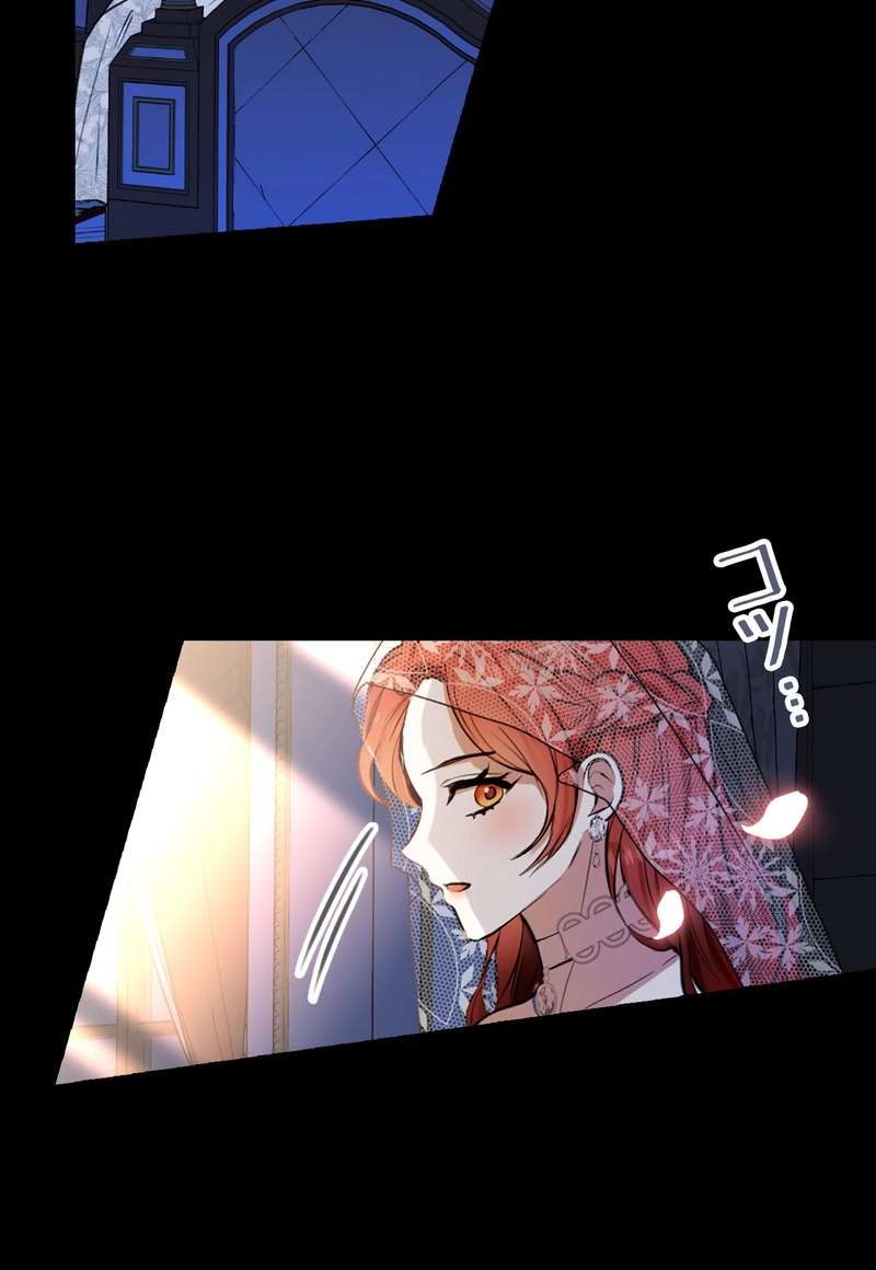 P54