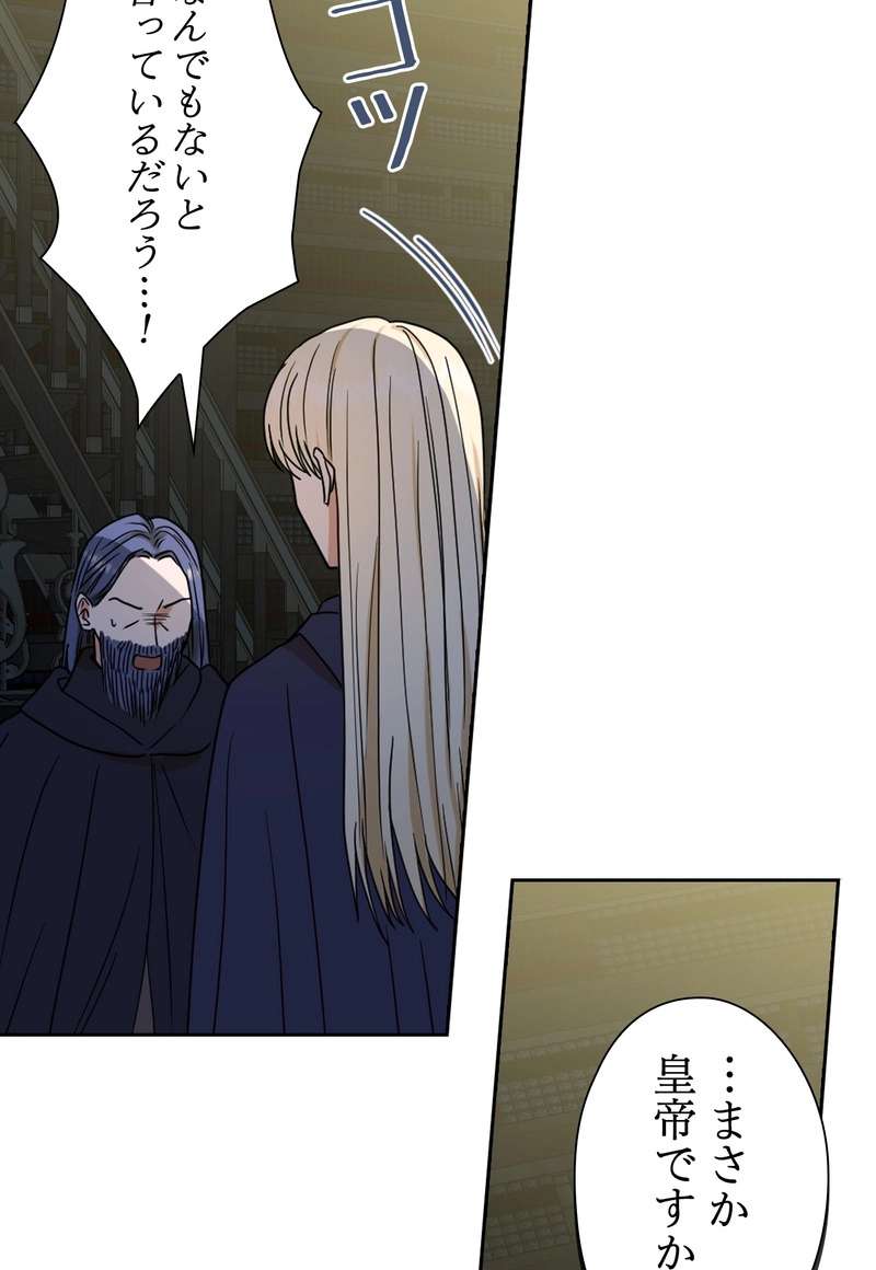 P66