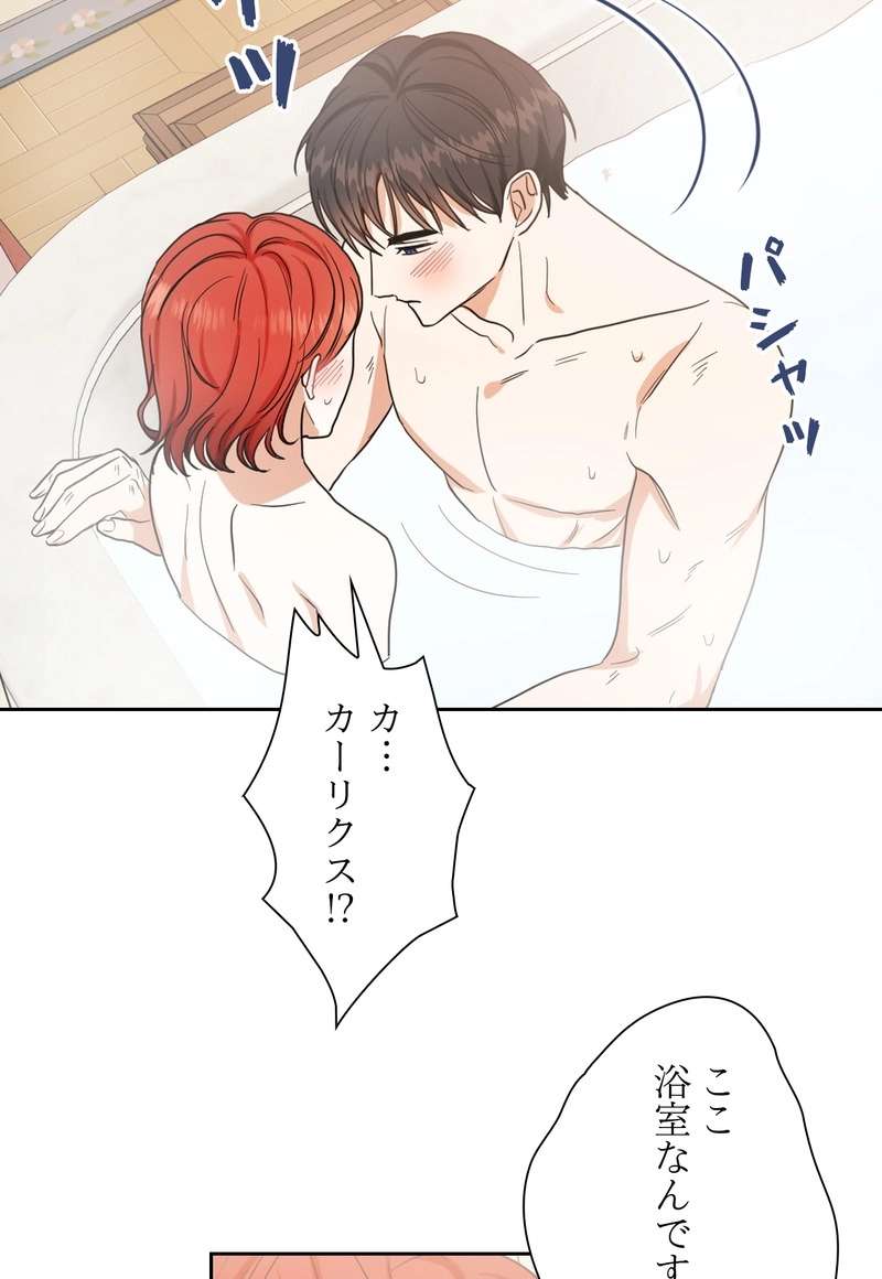 P66