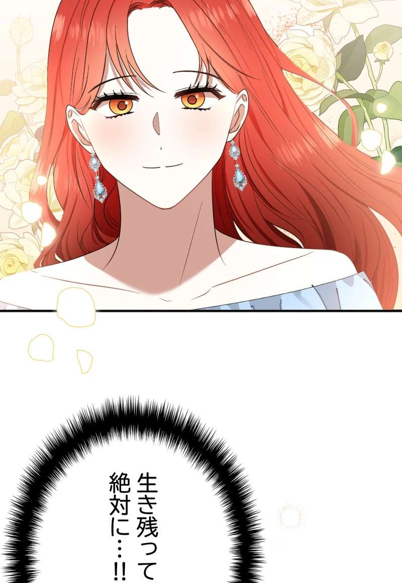 P53
