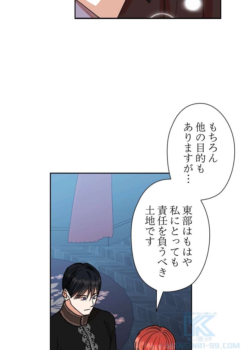 P61