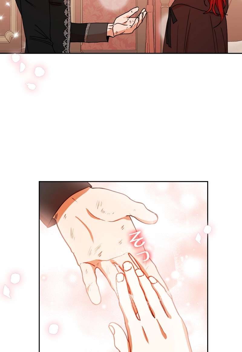 P66