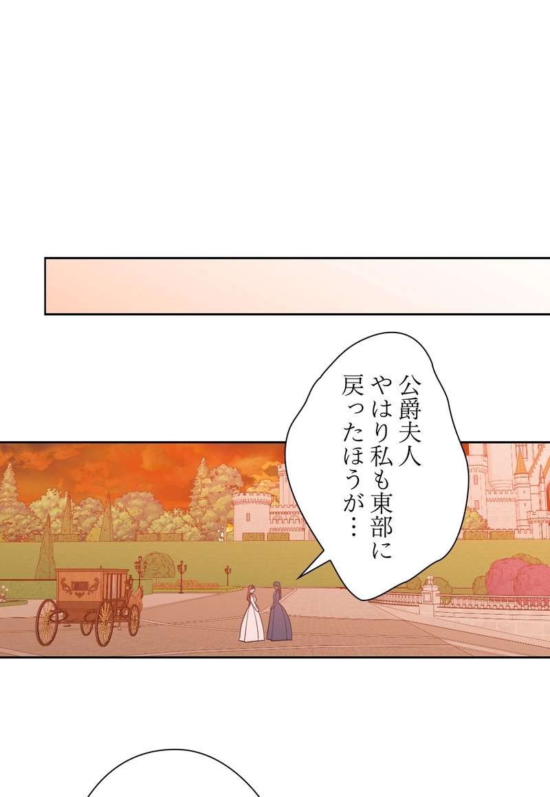 P63