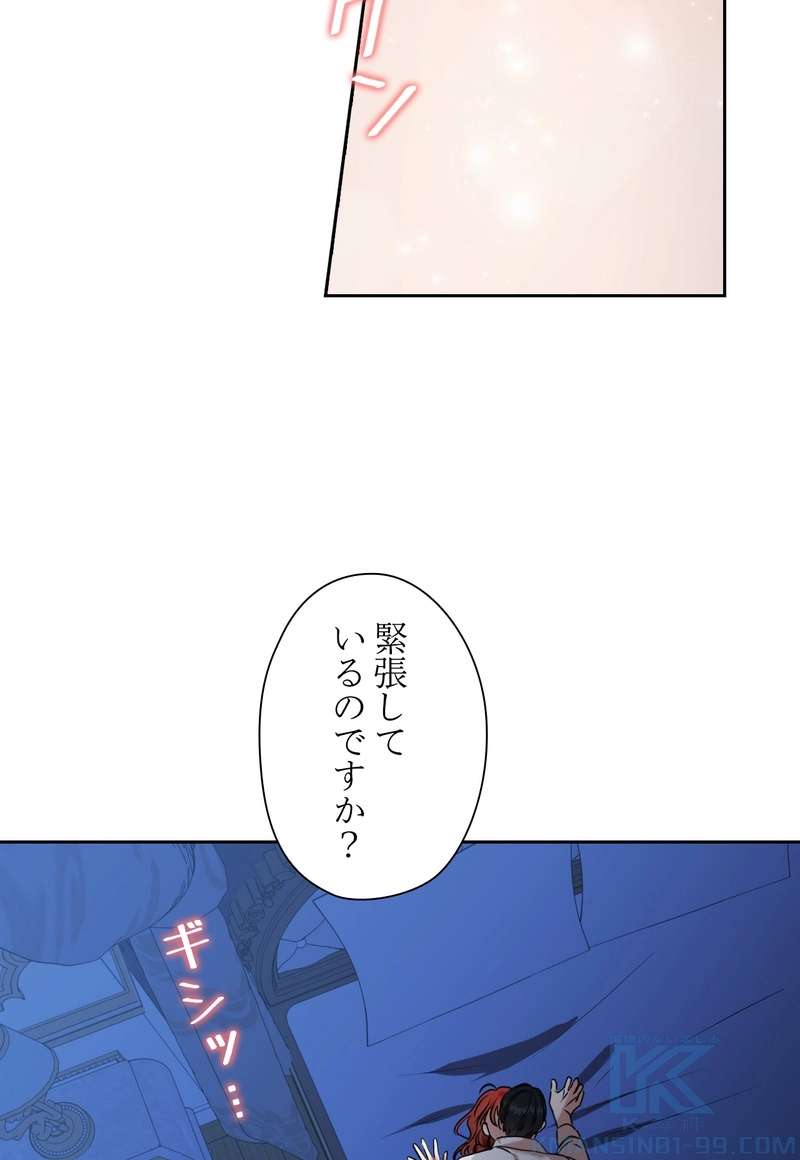 P61