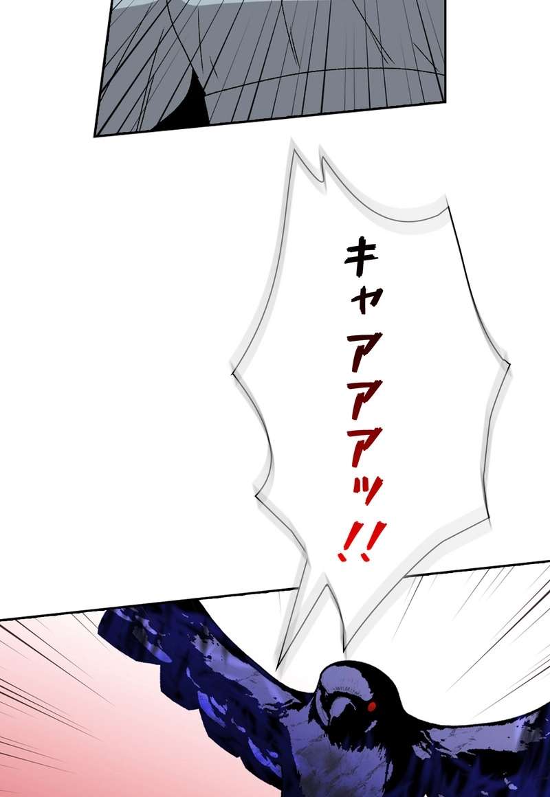 P44