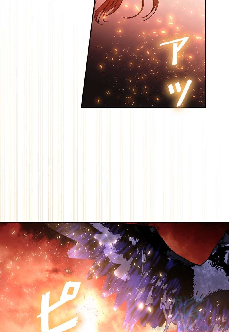 P46