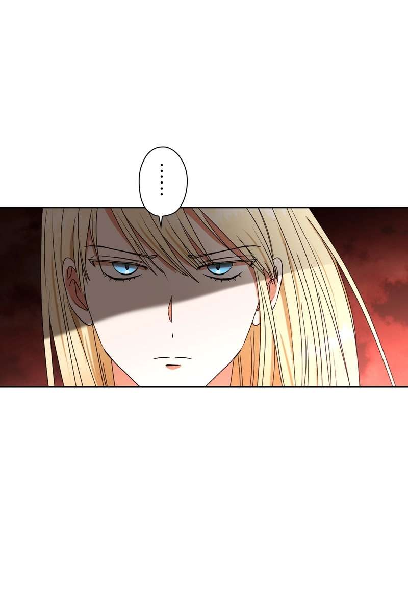 P53